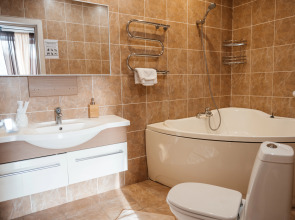 Отель Шишка