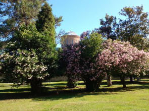 Гостевой дом в Пицунде у озера Наала