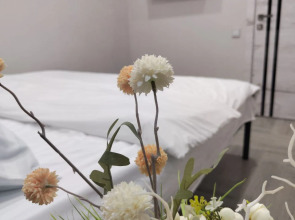 Квартира с Видом на Волгу в Центре Города