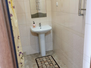 Гостевой дом Большой гостевой дом Ореховая роща