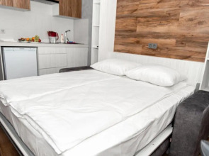 Апартаменты Элитные апартаменты в центре Тулы в новом доме Премиум класса (А)