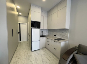 Квартира милая студия на 4х