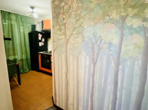 Апартаменты У Больницы Боткина