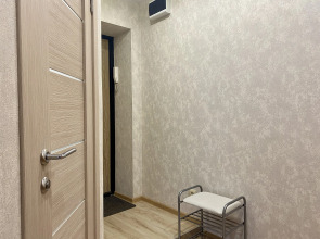 Квартира Елизаровых 40