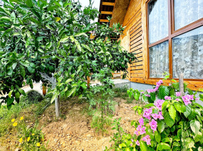 Гостевой Дом Афалин