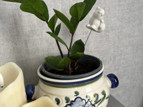 Квартира Апартаменты Лаванда