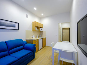 Апартаменты Петровские на Советской 90 (4)