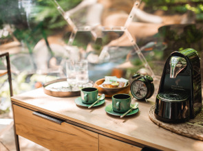 ЛЕС Глэмпинг и SPA