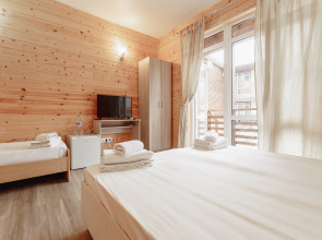 Amshin п.Цандрипш