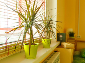 Мини-отель Вельвет