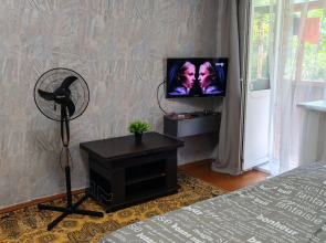 Квартира Уютная в Центре Владимира