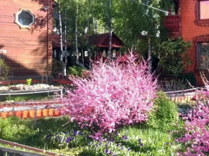 Мини-Отель Усадьба Марьина Роща