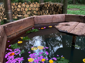 База Отдыха Эко-Клуб Голицыно