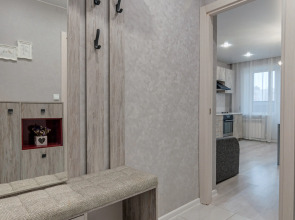 Квартира около стадиона Локомотив