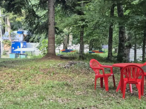 Горная Мята