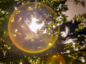 Istanbul Airport Durusu Club Hotel