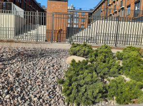 Квартира- студия на Берегу Финского Залива