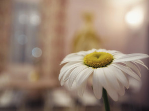 Гостевой дом Мелисса