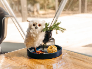 Шале Елки на горке 1