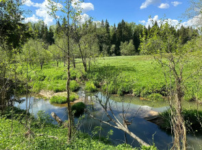 Шале Зеленый домик в лесу на Живописной улице
