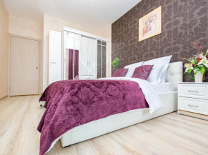 Апартаменты Cosmos Apart на Революции 48 В (1)