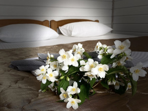 Гостевой дом Солнечный Хаджох