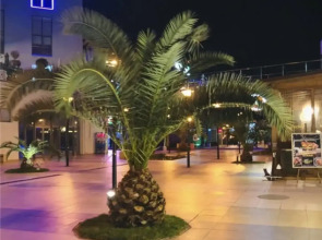 Апартаменты Лето