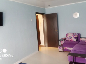 Апартаменты Уютная квартира в центре города