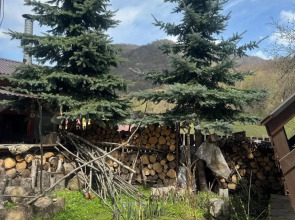 Ночлег и завтрак (B&B) Art&Hur сlub