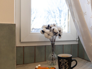 Апартаменты Malkova Аpartments на Энгельса