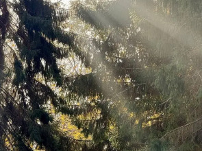 Апартаменты студия 719