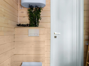 Частный дом в еловом лесу