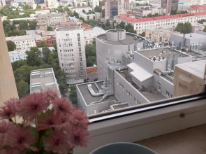 Апартаменты Видовые в Центре Воронежа Фиолет 20/20