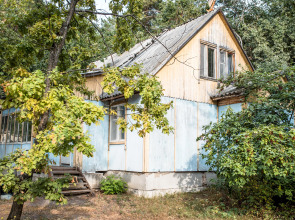 База Отдыха Сосновый Бор на Усе