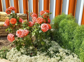 Гостевой дом Ника