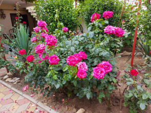 Гостевой Дом Морская 51