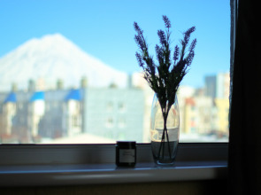 Квартира IZI home Kamchatka с шикарным видом на вулканы