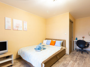 Квартира на улице Озерная 29к3