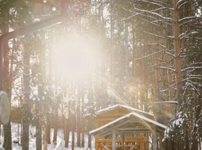 База отдыха Карельская