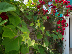 Курортный отель Лазурный берег