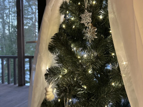 Частный дом у озера с террасой Сосновый дом