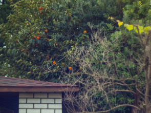 Гостевой дом Valentina