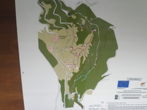 Отель Christys Palace