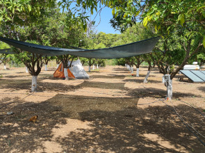 Мини-отель Orange beach camp caravan club