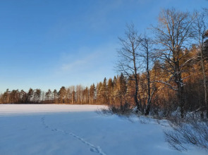 Эко Апартаменты с Внутренним Двориком