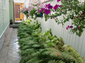 Гостевой дом Спасс