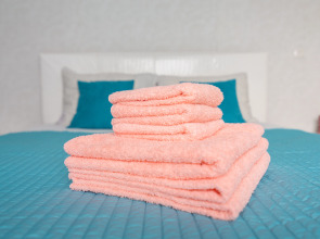 Апартаменты двухкомнатные в самом центре на Большой Покровской 73, Сова-Дом