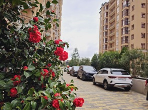 Апартаменты SochiHome Новая Заря