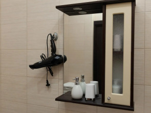 Апартаменты однокомнатные (117) Серебровская 91