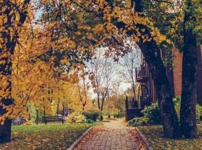 Мини-Отель Имение Алтунъ